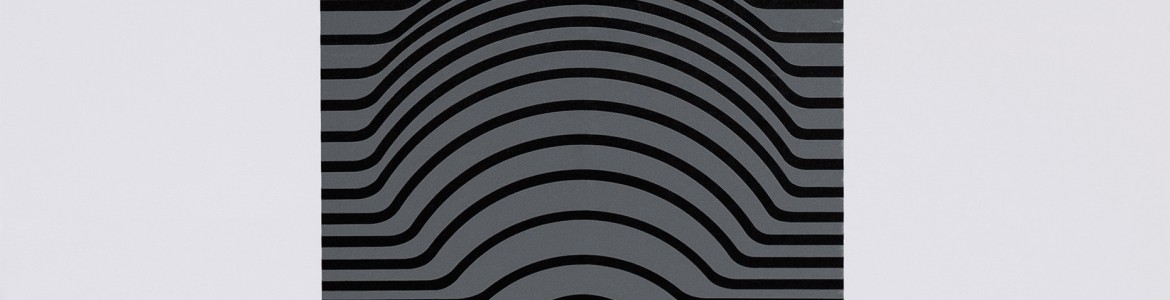 Vasarely. Ses Maitres, ses Amis